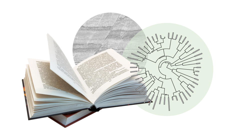 collage of open book, a piece of granite and a chart