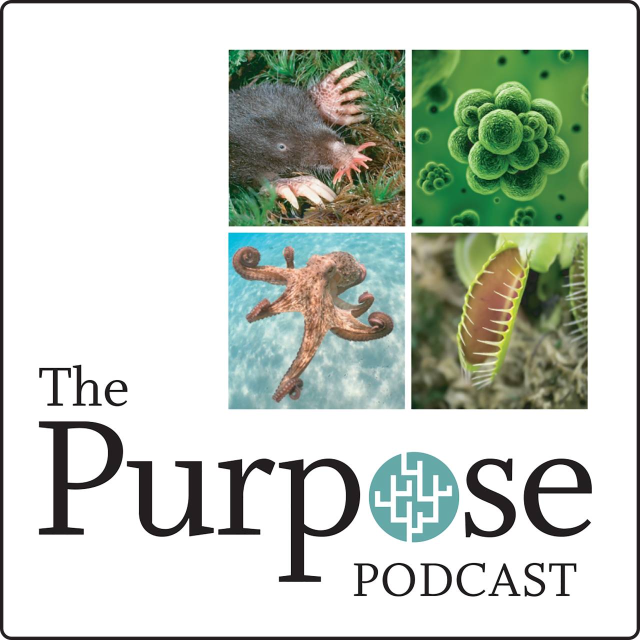 small logo image