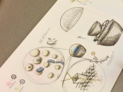 In the classroom: sketching diagrams of a lobster-inspired device that could harvest desalinated water.