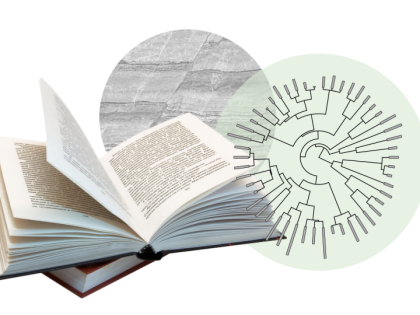collage of open book, a piece of granite and a chart